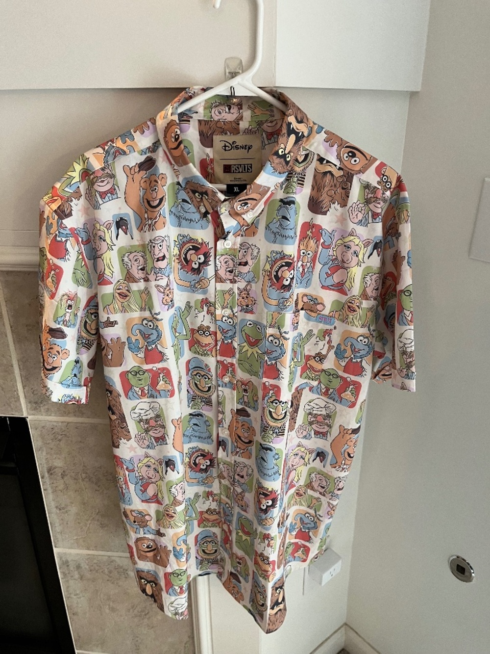 RSVLTS Disney's Muppets "Time to Meet the Muppets"